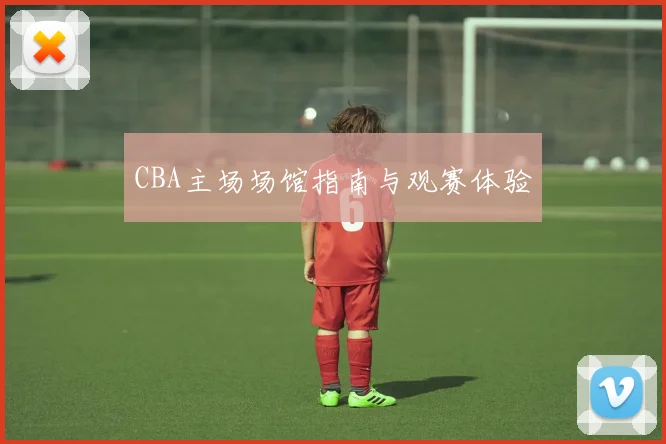 CBA主场场馆指南与观赛体验